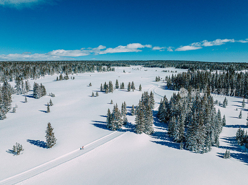 一个越野滑雪者滑雪和练习“对角步幅”方法的广角航拍在科罗拉多的Grand Mesa国家森林的修整小径上